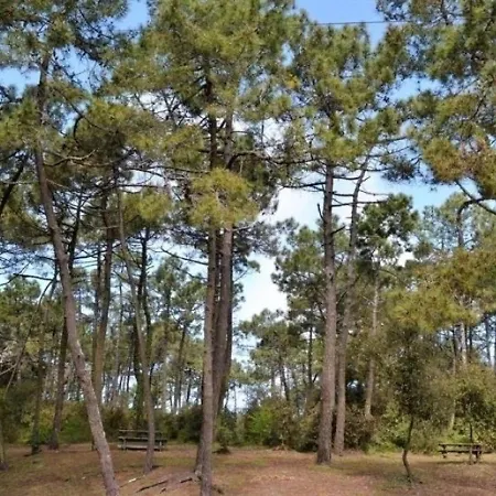House 4 Personnes Noirmoutier : Location Vacances Pour 4 Personnes Dans Le Bois Des Eloux A L'epine. Casa de Férias *